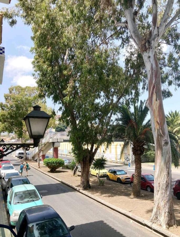מלון לאס פאלמס דה גראן קנאריה Casa Eucalipto מראה חיצוני תמונה